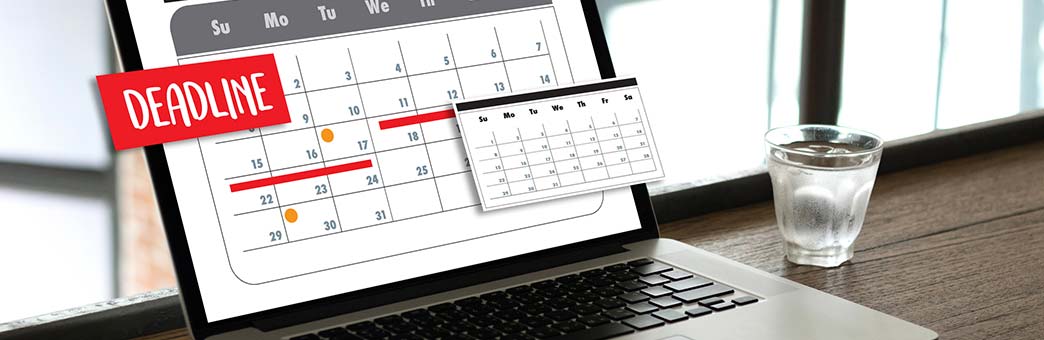 1 Consulting for Women Business Owners in Denver Colorado