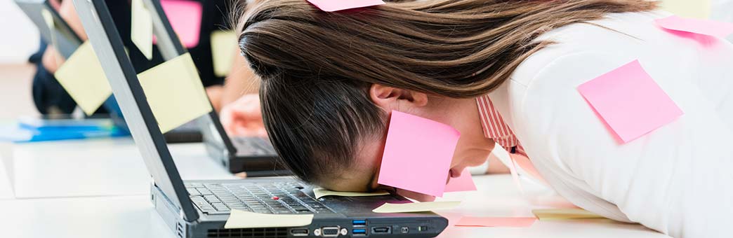 1 Coach for Women Business Owners in Denver Colorado