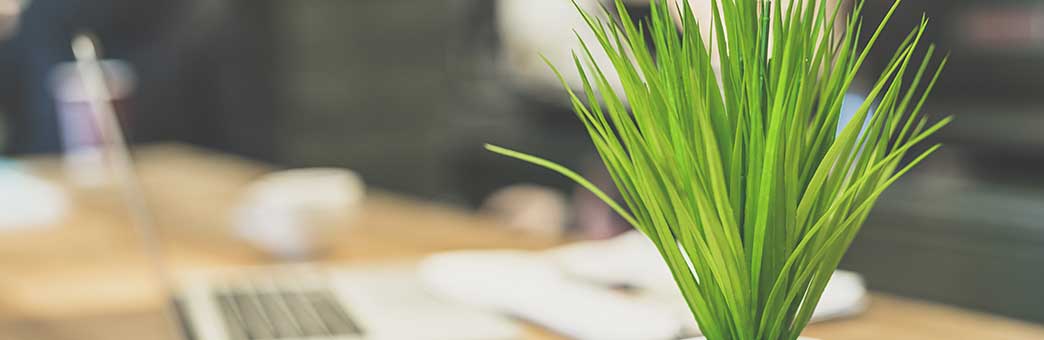 02 Green up your office